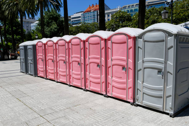 Best Standard Portable Toilet Rental  in Narrows, VA